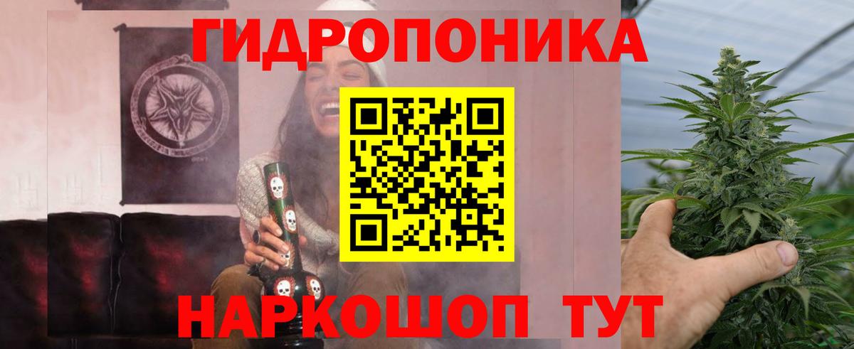 Конопля семена  Вход с VPN  Маркс  Шишки марихуана OG Kush 